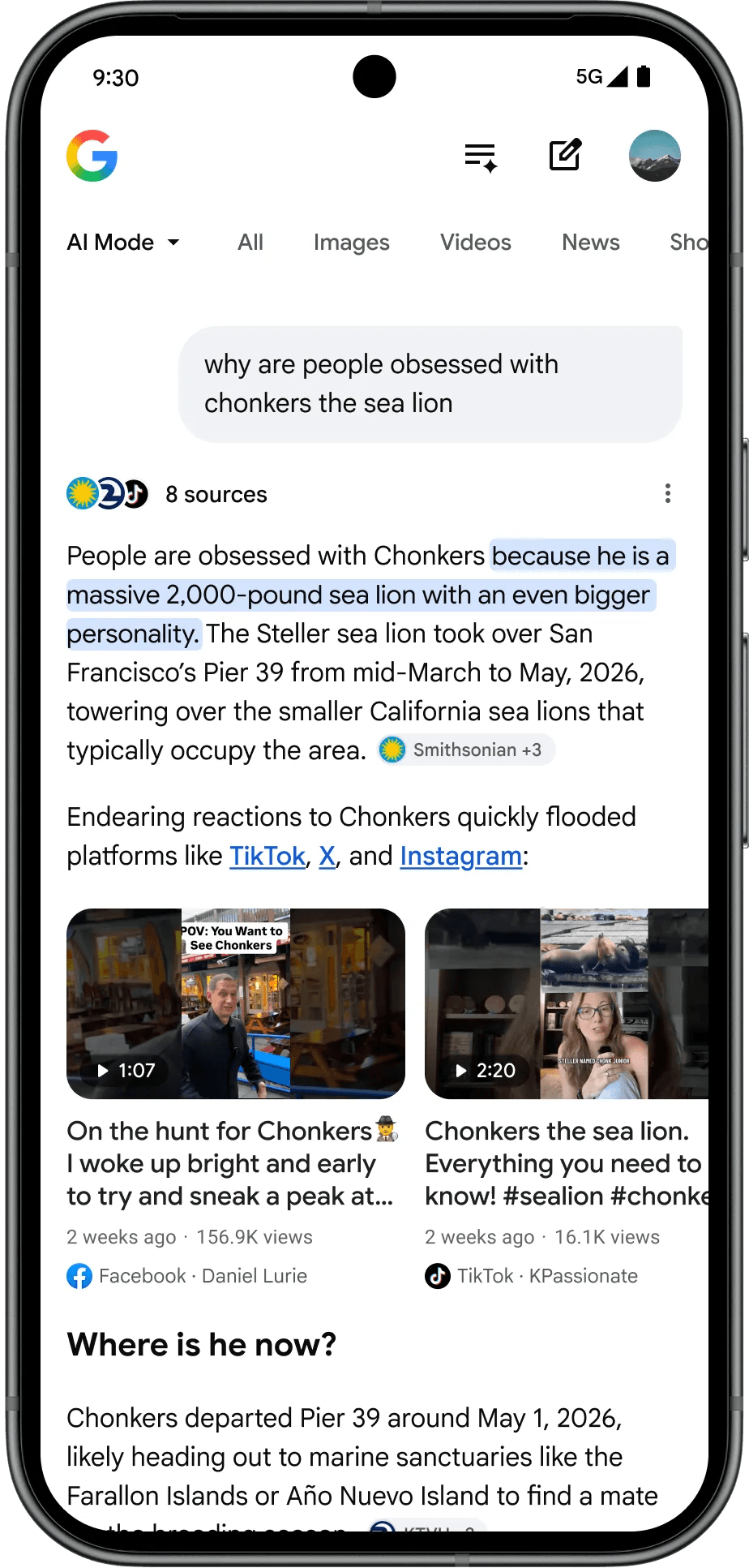Google's Chonkers the sea lion example for insights from other creators in the AI Overview carousel.