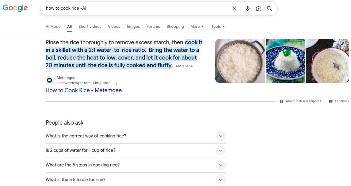AI Overview turned off by using the '-AI' tag in search.