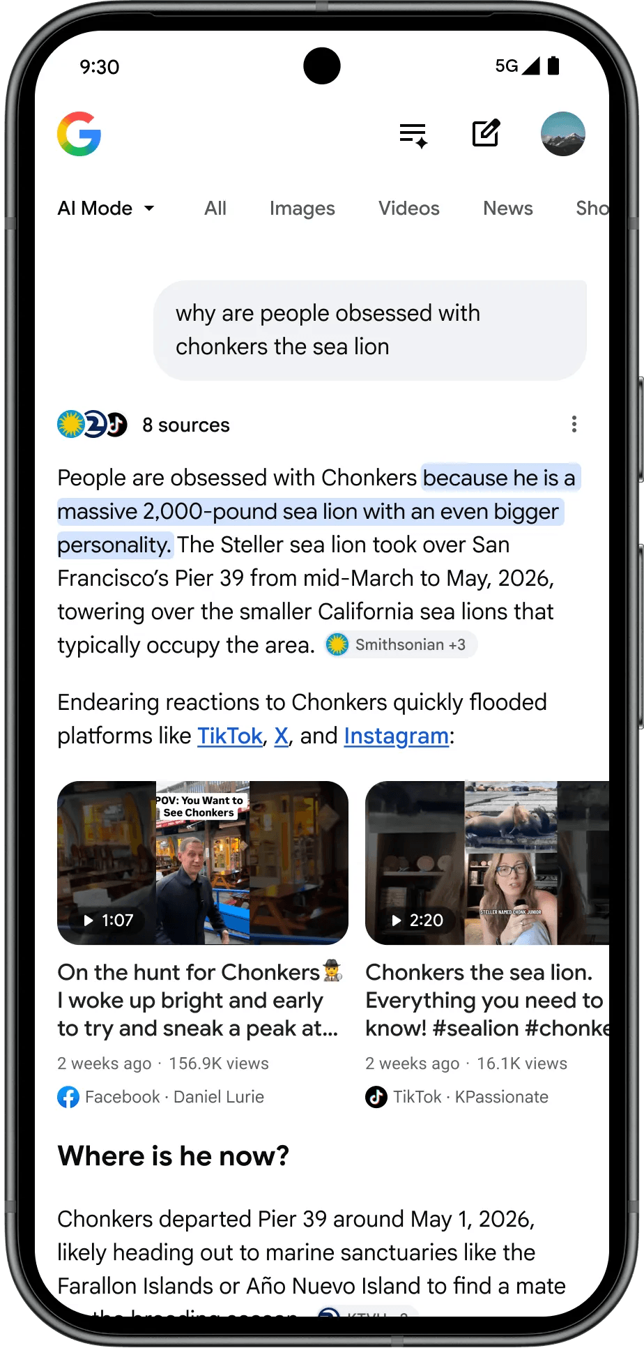 Google's Chonkers the sea lion example for insights from other creators in the AI Overview carousel.
